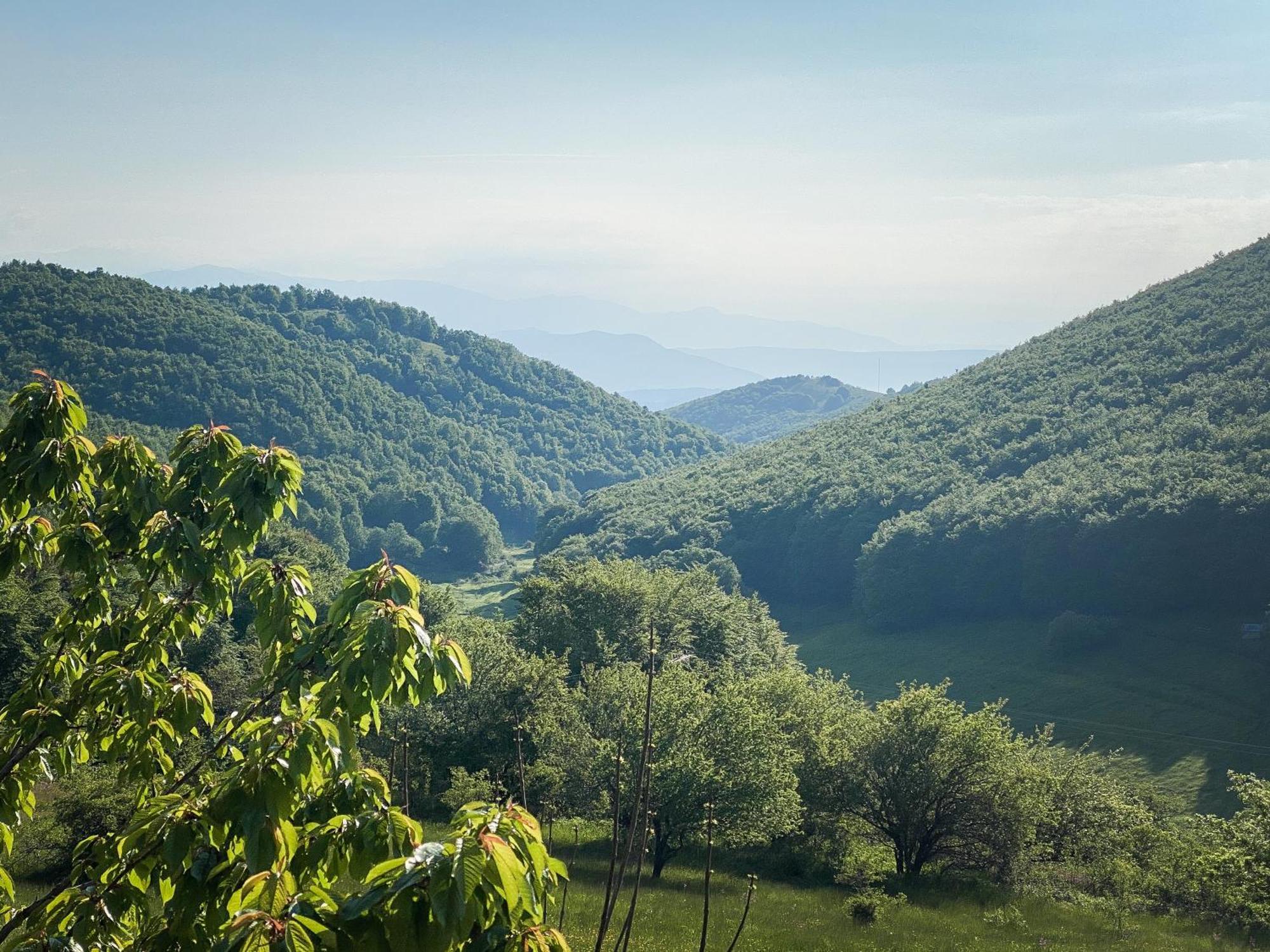 Villa Arcturia Nimféo Kültér fotó