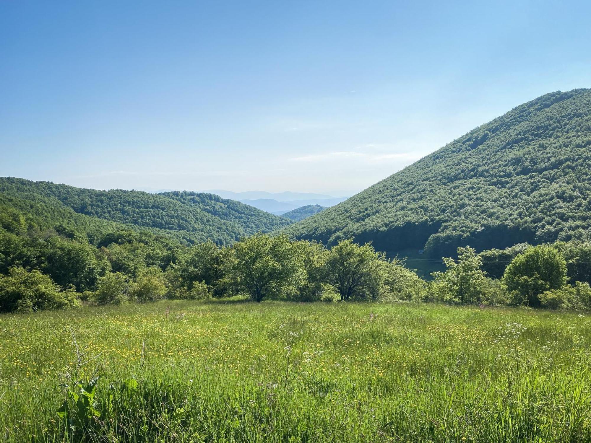 Villa Arcturia Nimféo Kültér fotó